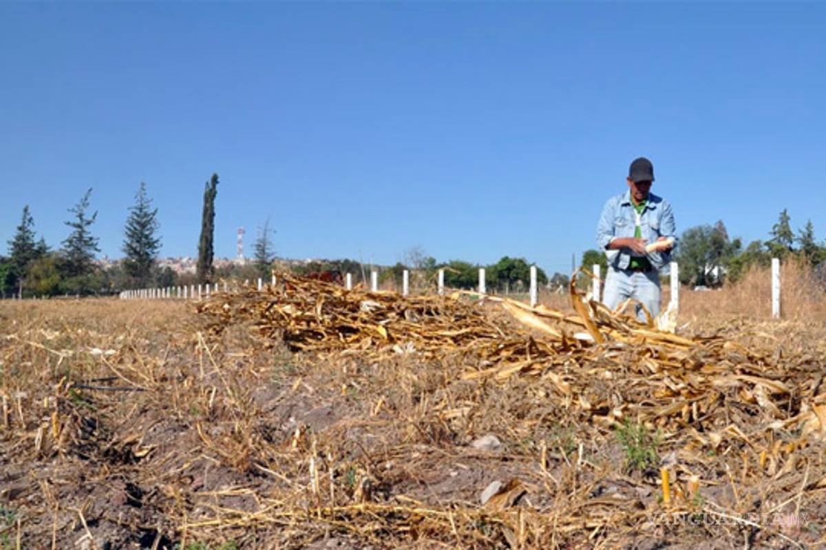 Programas sociales para el campo son insuficientes, denuncian