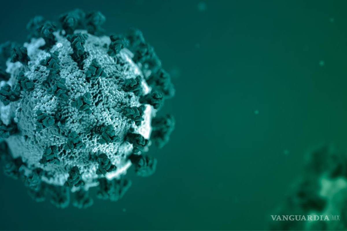Han muerto en Coahuila 29 menores de edad por COVID-19