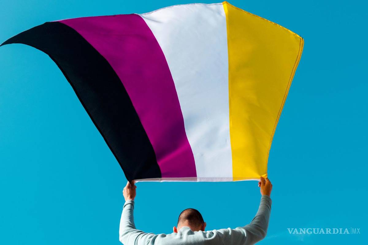 Aprueba INE que personas no binarias soliciten credencial electoral que refleje su identidad de género