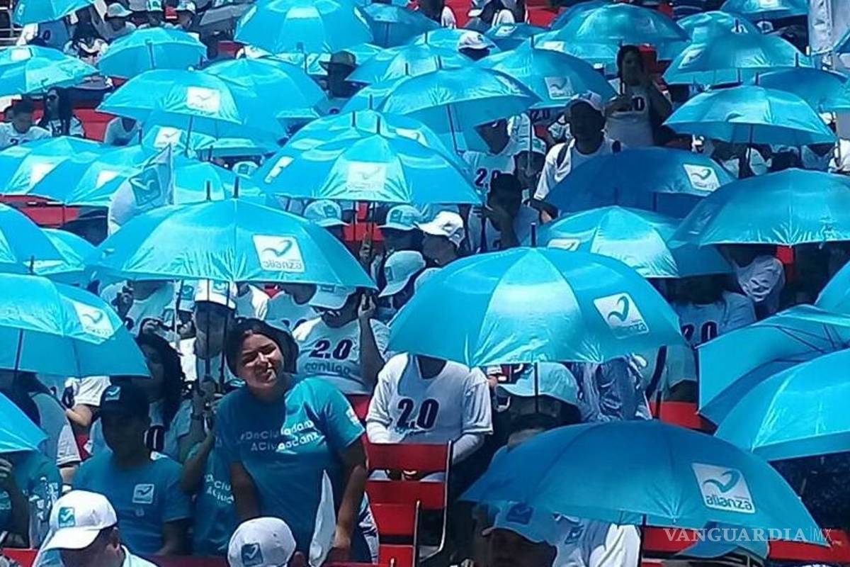 El Panal buscará recuperar su registro nacional