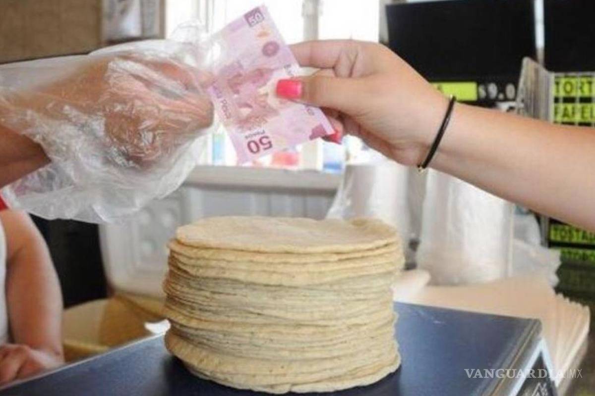Por guerra Rusia-Ucrania se disparan precios de la tortilla; alcanza los 20 pesos