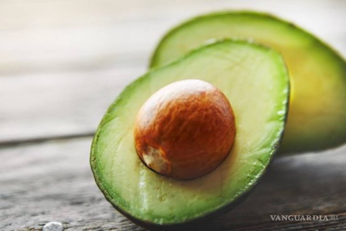 Exportaciones mexicanas de aguacate rompen récord y se triplican en una década