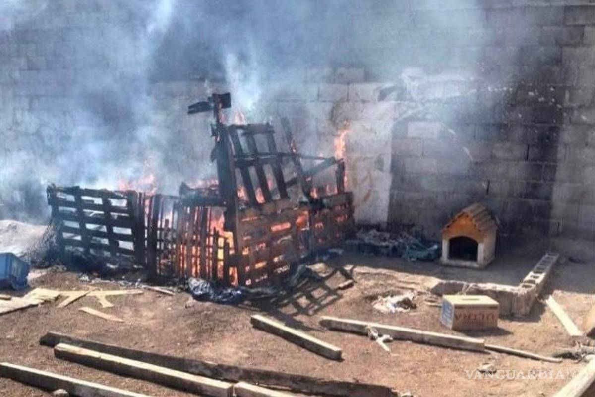 Saltillo: ‘No podemos permitir que se repita’; Alcalde lamenta incendio que dejó dos cachorros muertos