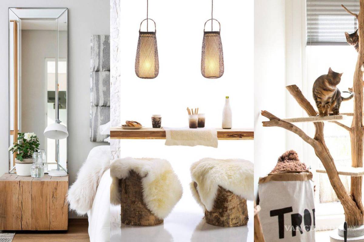 ¿Buscas un toque cálido y natural para tu hogar? Los troncos y ramas son la mejor opción