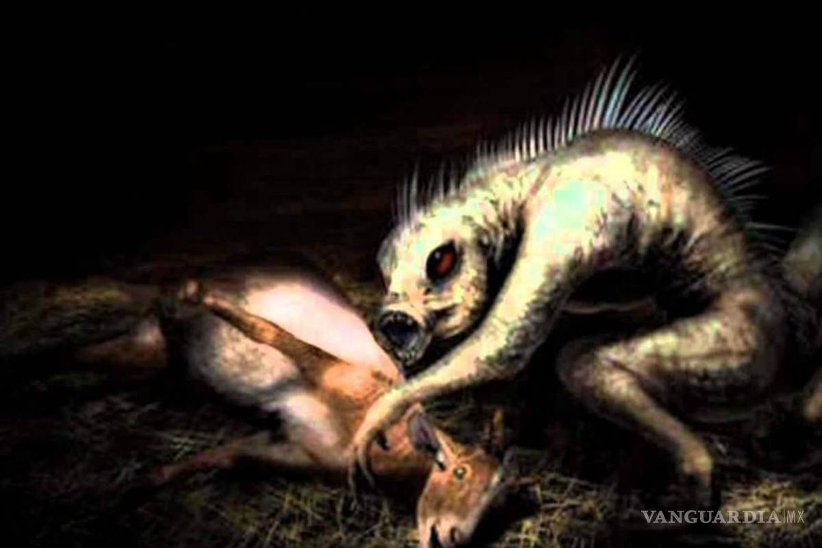 ‘El Chupacabras’... la verdad detrás de esta extraña criatura que dejó a México en una profunda crisis económica y democrática (Video)