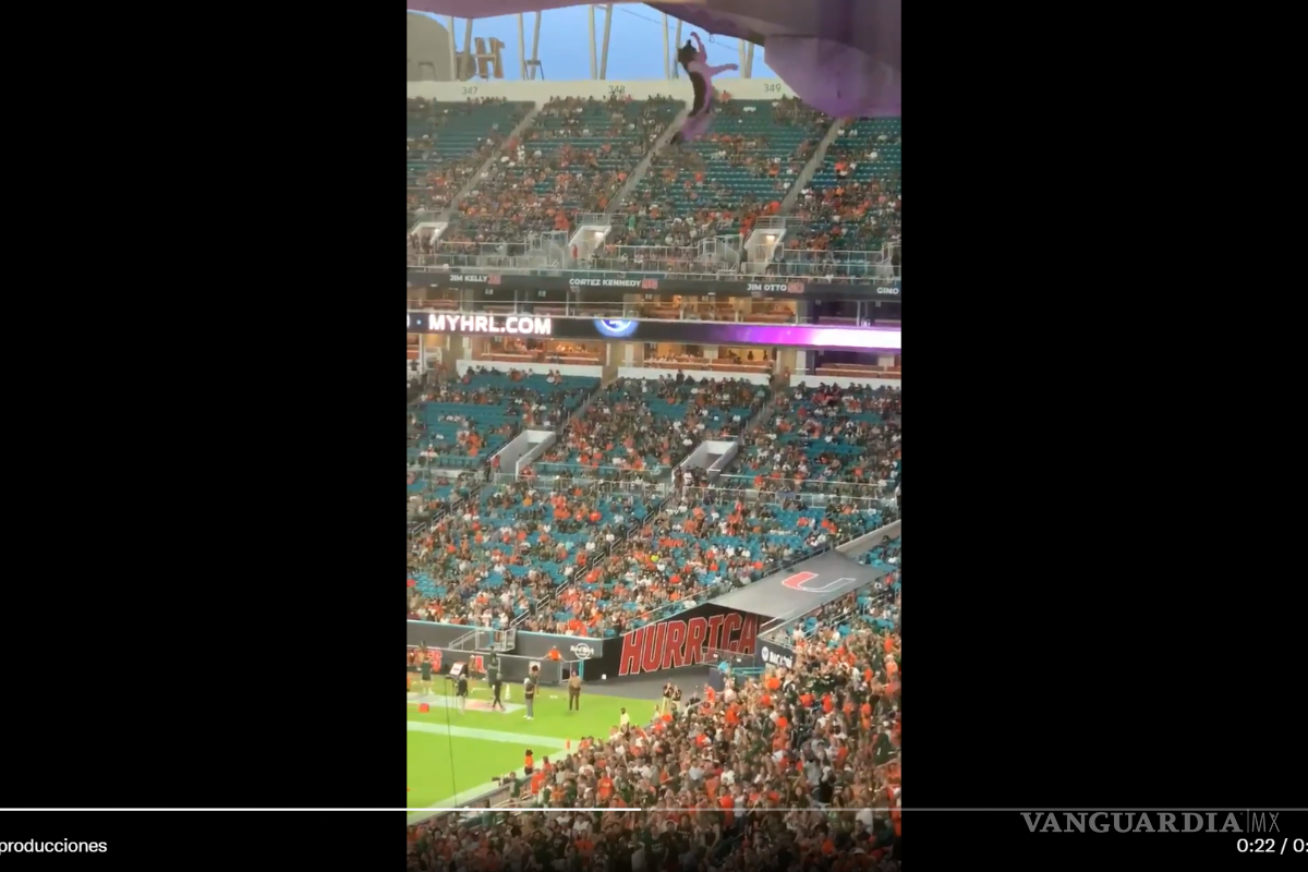 Aficionados evitan la muerte de un gato en partido de la NCAA