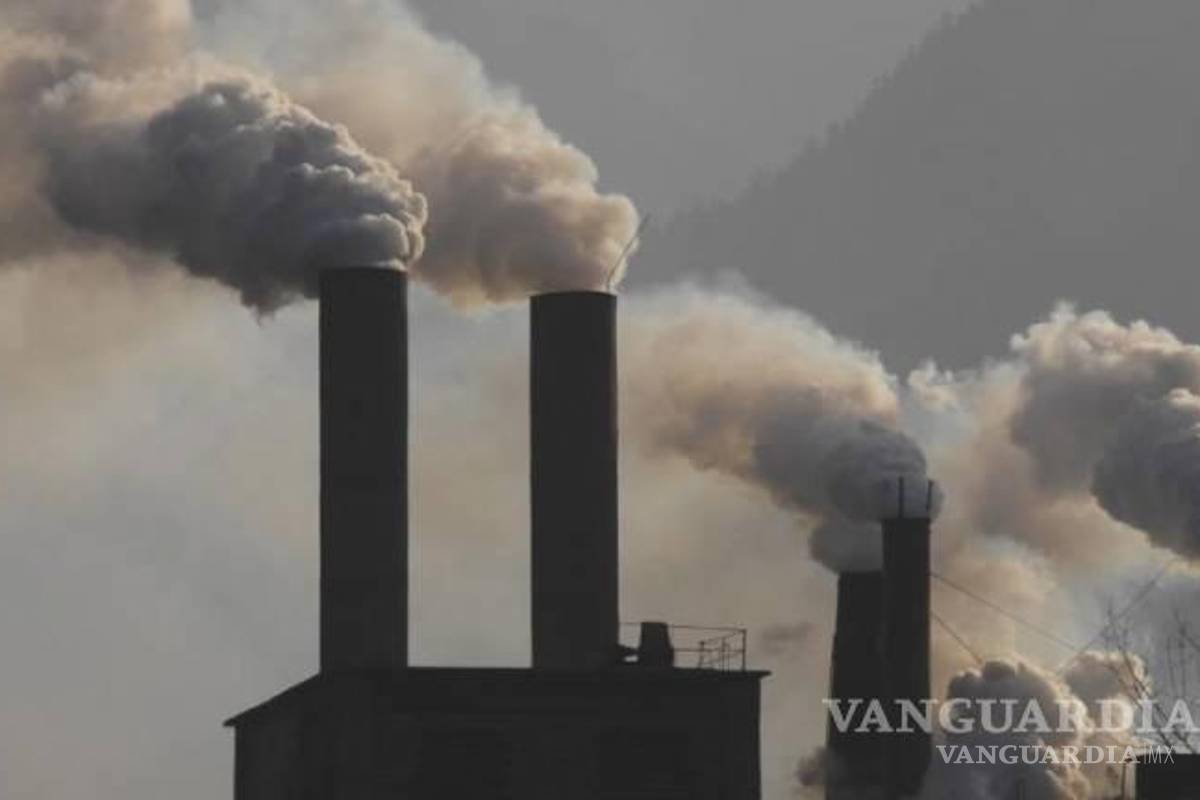 ‘Ojalá el cambio climático asustara como el COVID-19’, asegura Martha Delgado