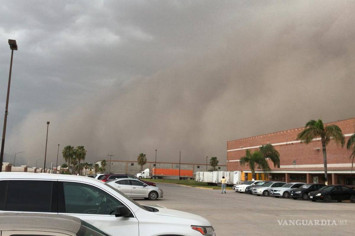 Tolvaneras, fenómeno común en La Laguna