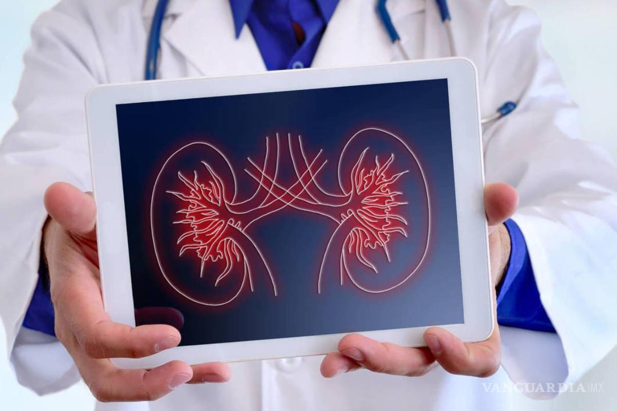 Saltillo: La hipertensión, seria amenaza para padecer una enfermedad renal crónica