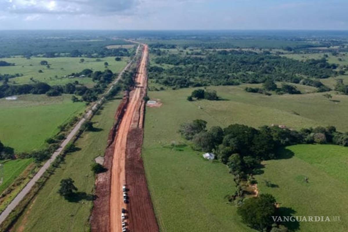 Juzgado concede suspensión provisional de Fase 1 del Tren Maya