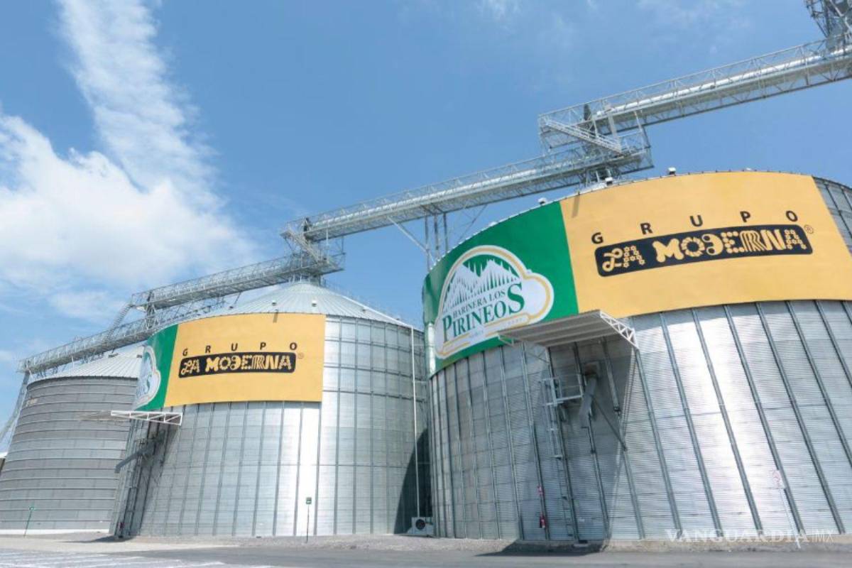 Comprará La Moderna menos trigo cristalino ante factores como la escasez de agua y la migración a otros cultivos