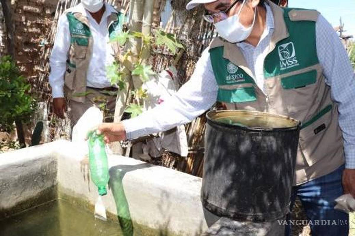 En tiempos de lluvia aumentan los casos de dengue, chikungunya y Zika, advierte IMSS Coahuila