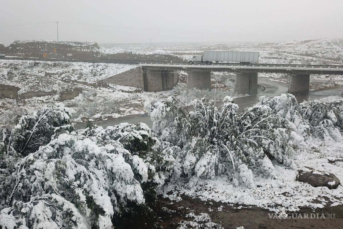 ‘Yo no conocía el frío hasta que llegué a Ramos’: Hombre de Veracruz