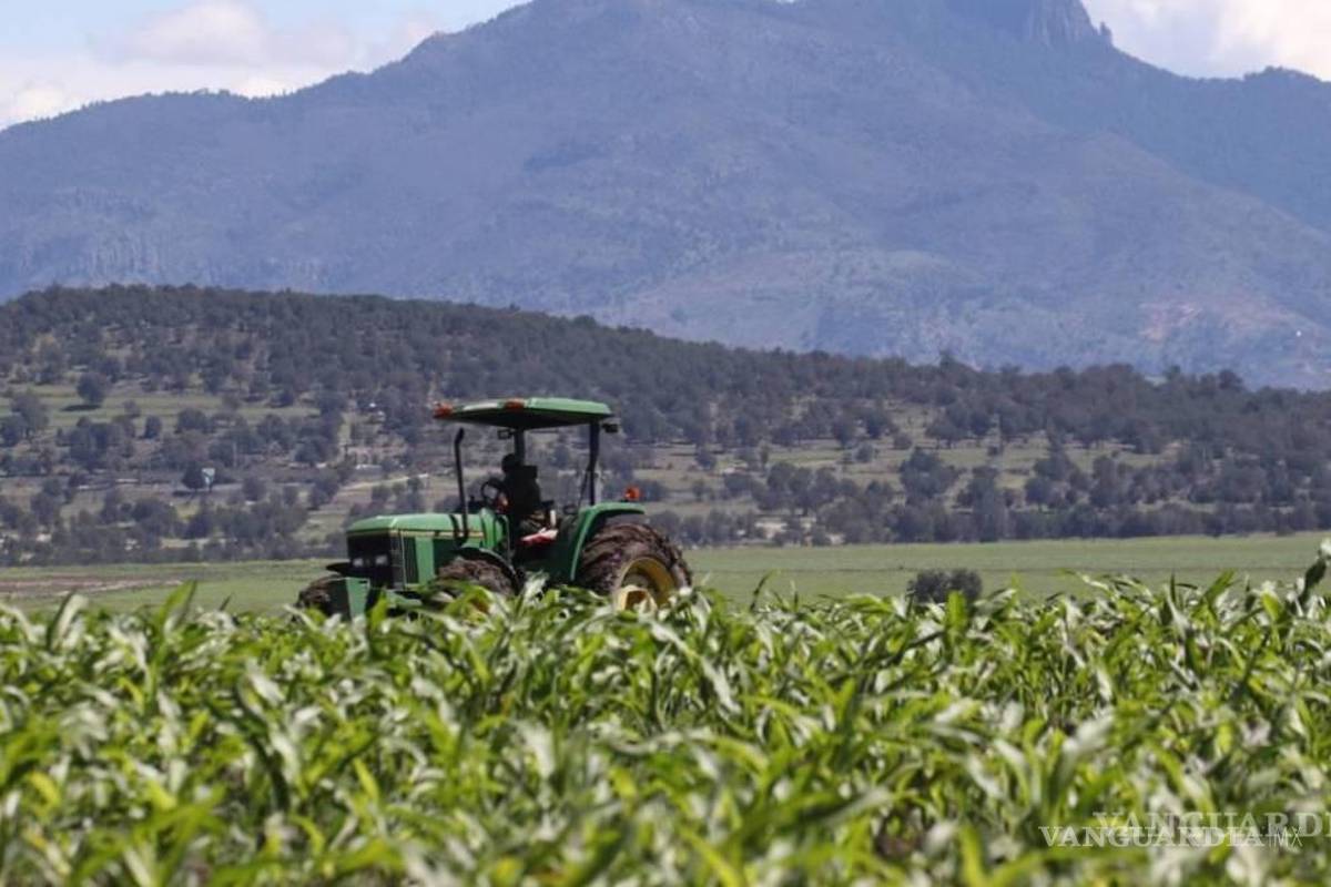 Agricultura e industria, responsables del 84% del consumo de agua en México