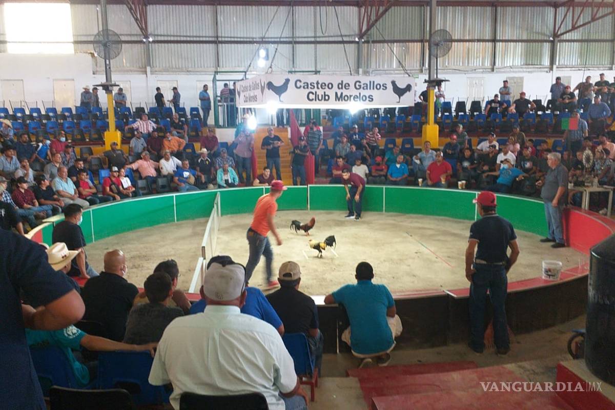 Asisten más de 400 a peleas de gallos; reabren moderno palenque para atraer turismo