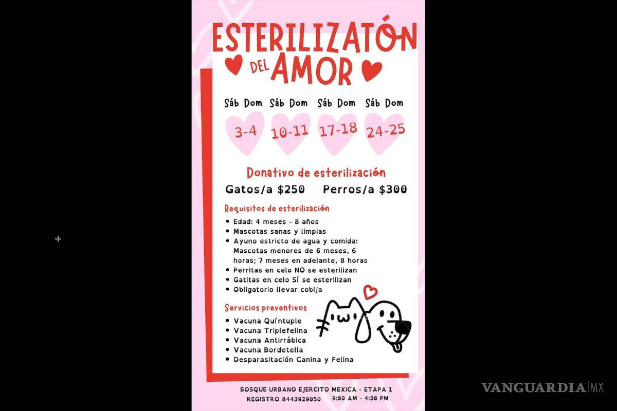 ¿Tienes mascotas? Únete ’Esterilizatón del Amor’; estas son las fechas en Saltillo
