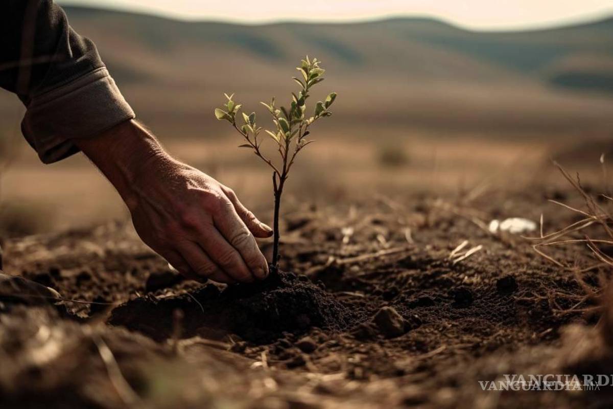 Saltillo apuesta por biotecnología para erradicar plagas sin químicos