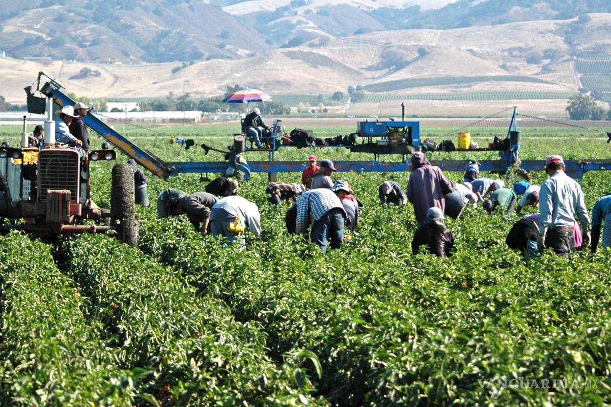 Ven imposible detener actividades agrícolas, pese al avance de la enfermedad COVID-19