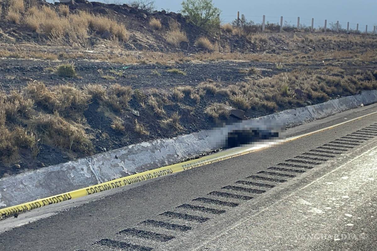 Localizan cuerpo sin vida a la orilla de autopista Saltillo-Torreón; posible atropellamiento