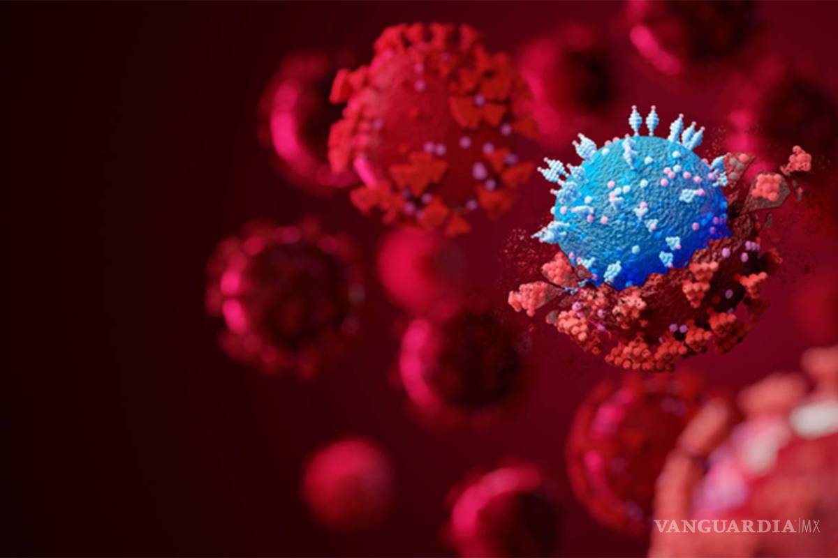 ¿Qué es la variante Centaurus?... COVID-19 cinco veces más contagiosa que Ómicron