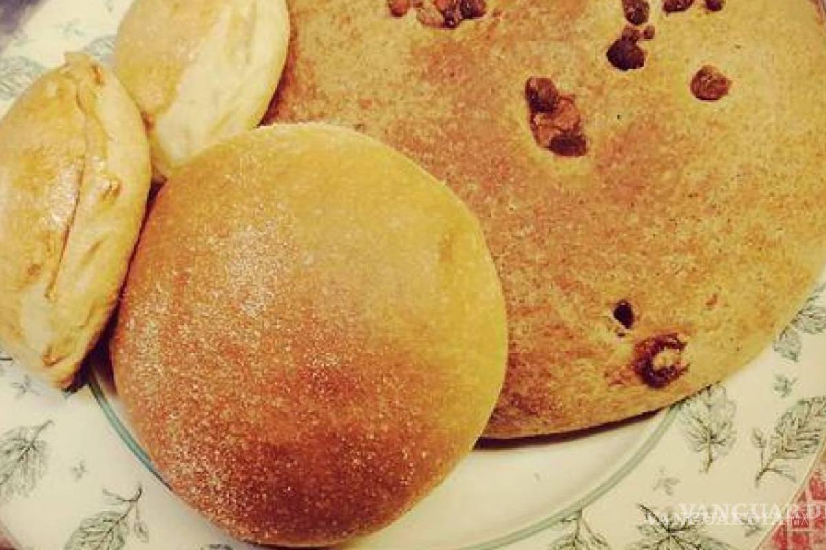 De bebida de dioses a alimento del pueblo: pan de pulque, tradición de Saltillo