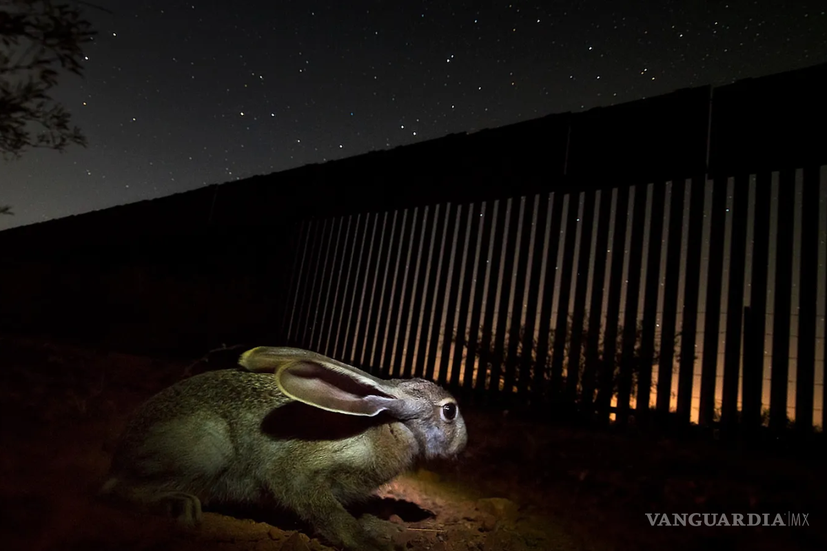 Estados ganan demandan al DHS de Estados Unidos, por daños ambientales derivados del muro fronterizo