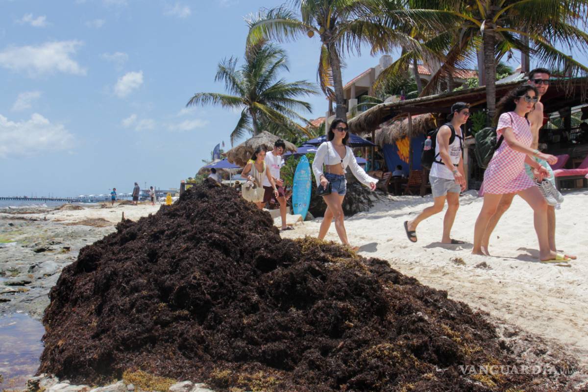 Sargazo le pegó al turismo en Quintana Roo
