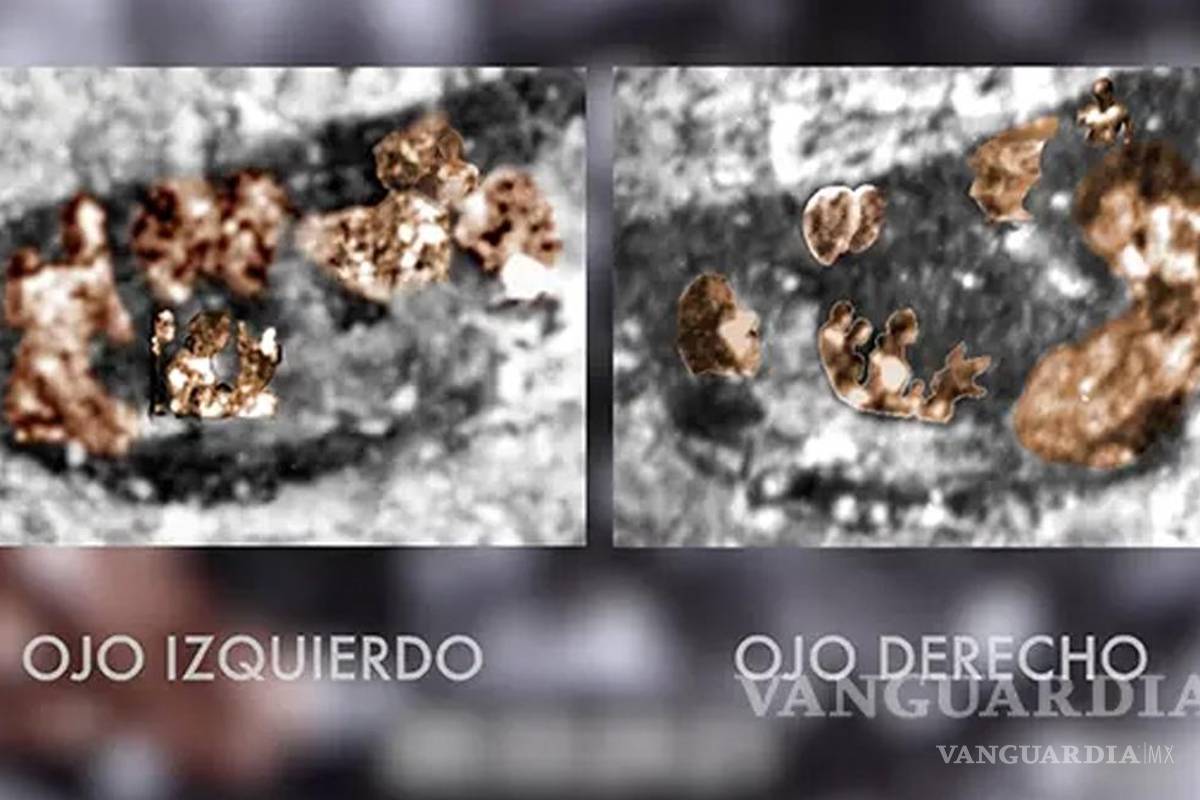 $!Virgen de Guadalupe... ¿Qué misterio se esconde en sus ojos y quiénes son las 13 personas que se reflejan en ellos?