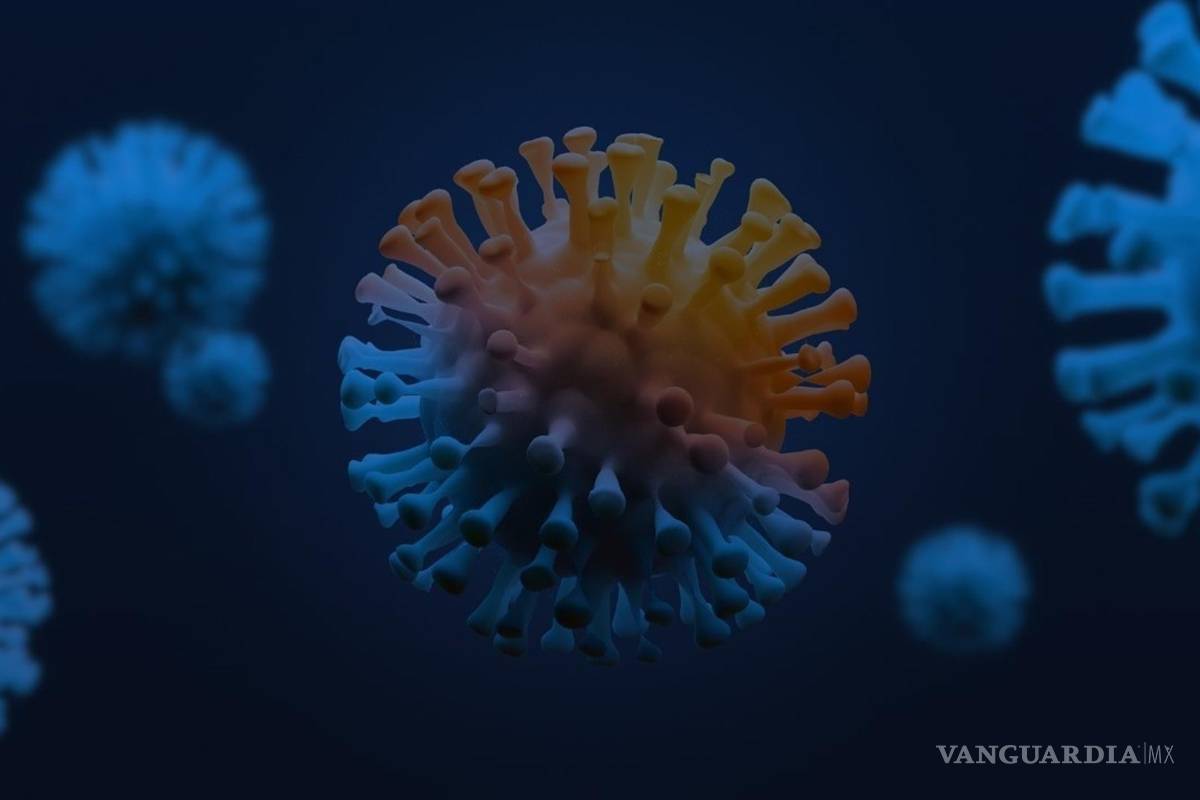 ¿Cómo es que llegan los virus a las células de nuestro cuerpo? Las formas de infección determina si los virus pueden saltar entre especies y desencadenar una pandemia