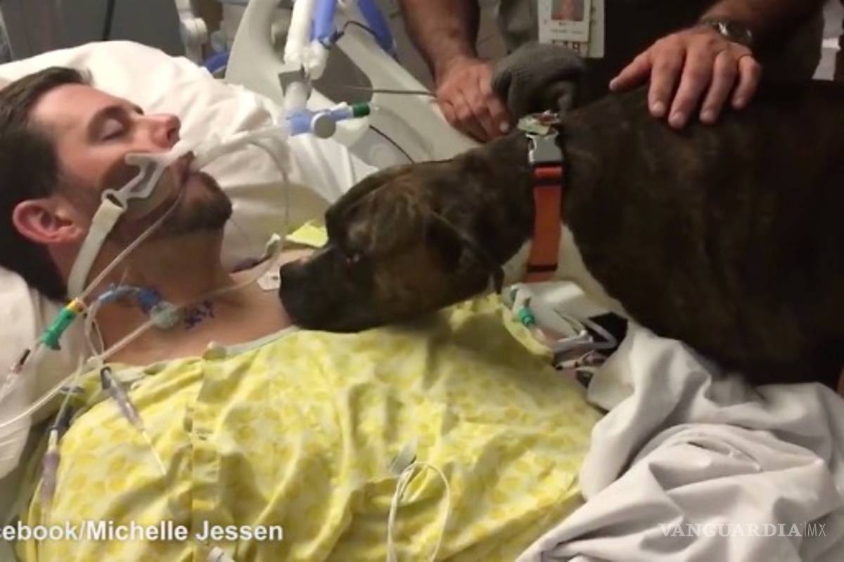 El desgarrador momento en que un perro le da el último adiós a su dueño