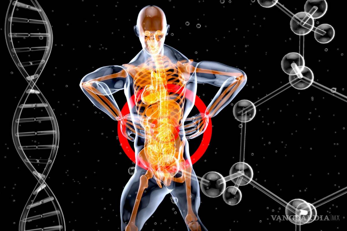 La clave de la longevidad es aburrida