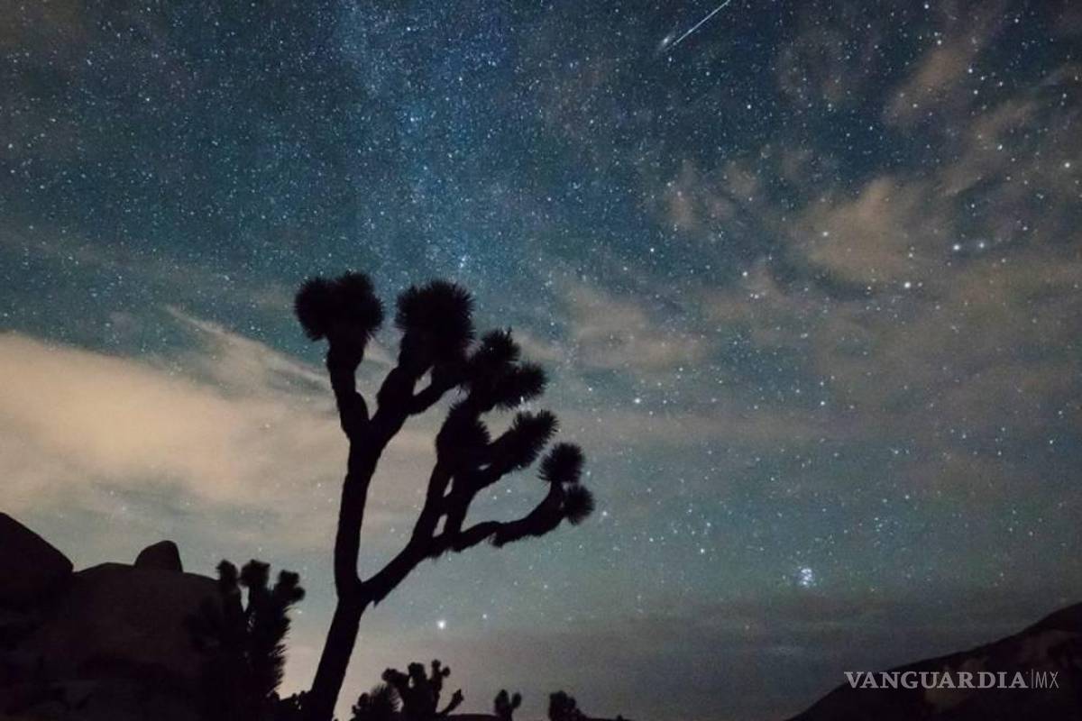 ¿Cómo ver la lluvia de estrellas “Eta Acuáridas” en Coahuila?, esto recomiendan los expertos