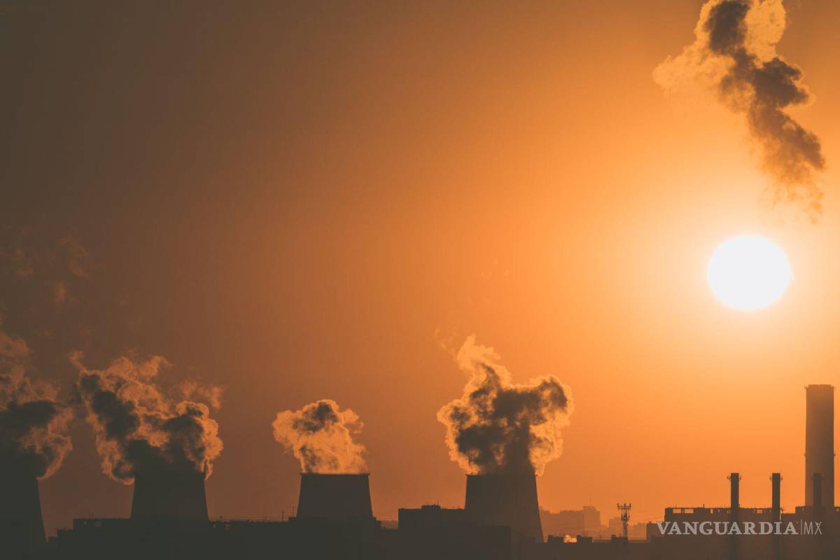 Gobierno de Coahuila y especialistas sugieren estas medidas para combatir al cambio climático