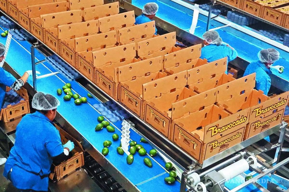 Los aranceles de Donald Trump, la guerra comercial que provocaría recesión mundial: economista