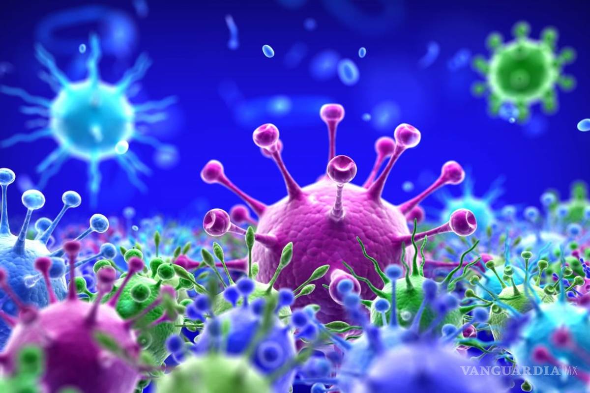 Preocupación mundial por 'Lambda', la peligrosa variante del COVID-19... es más contagiosa y evade las vacunas