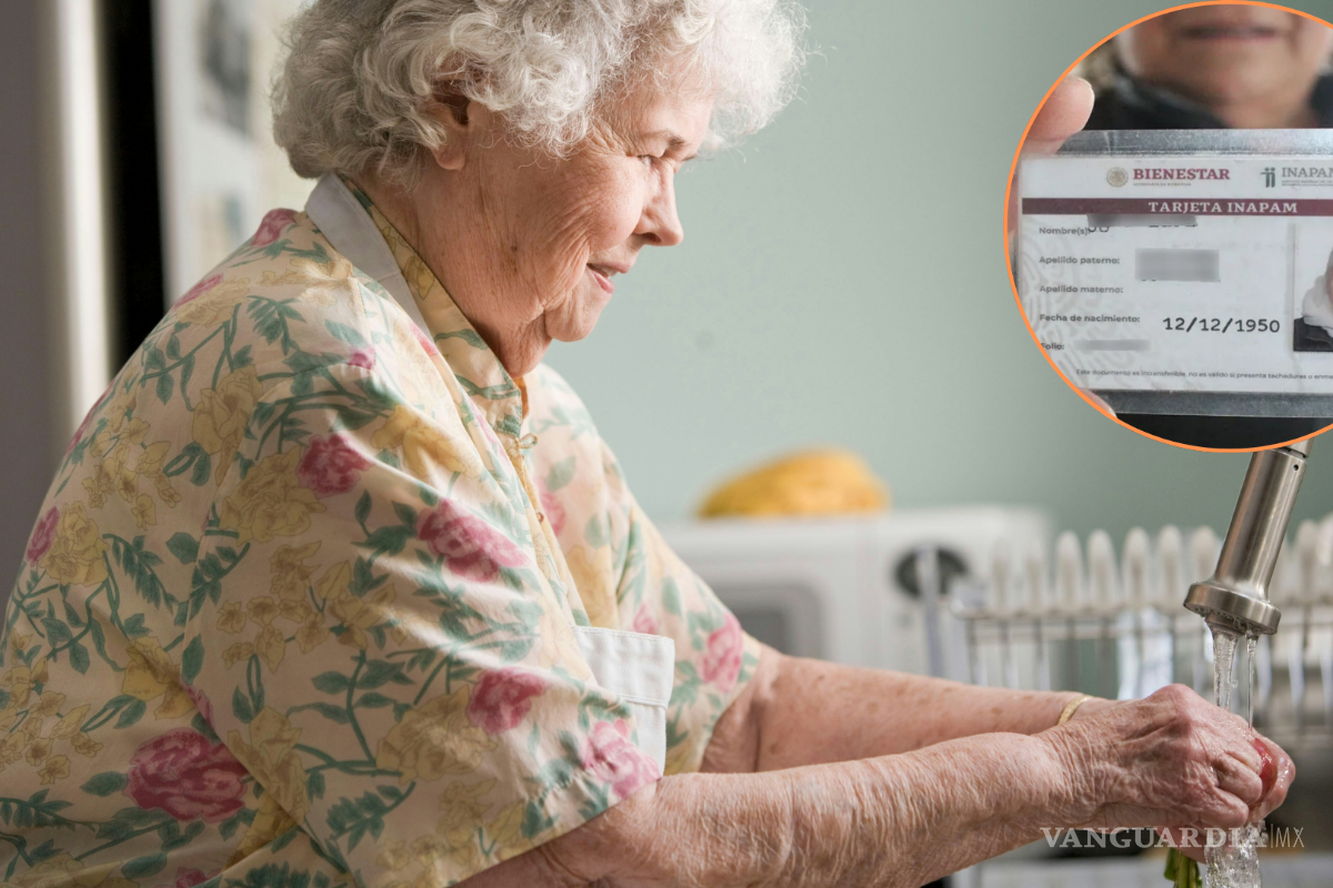 INAPAM: Estos son los descuentos a los que puedes acceder en tus servicios del hogar en 2024