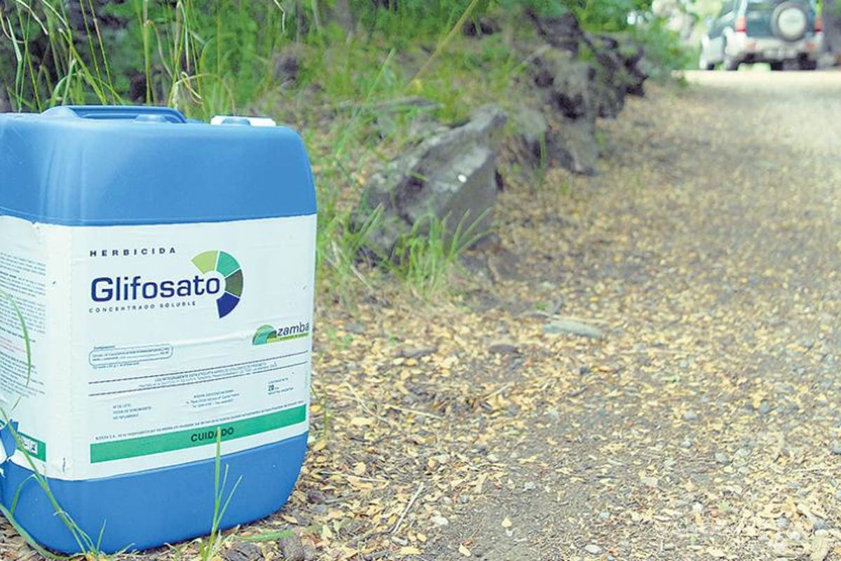 Semarnat deberá informar sobre importación del herbicida glifosato