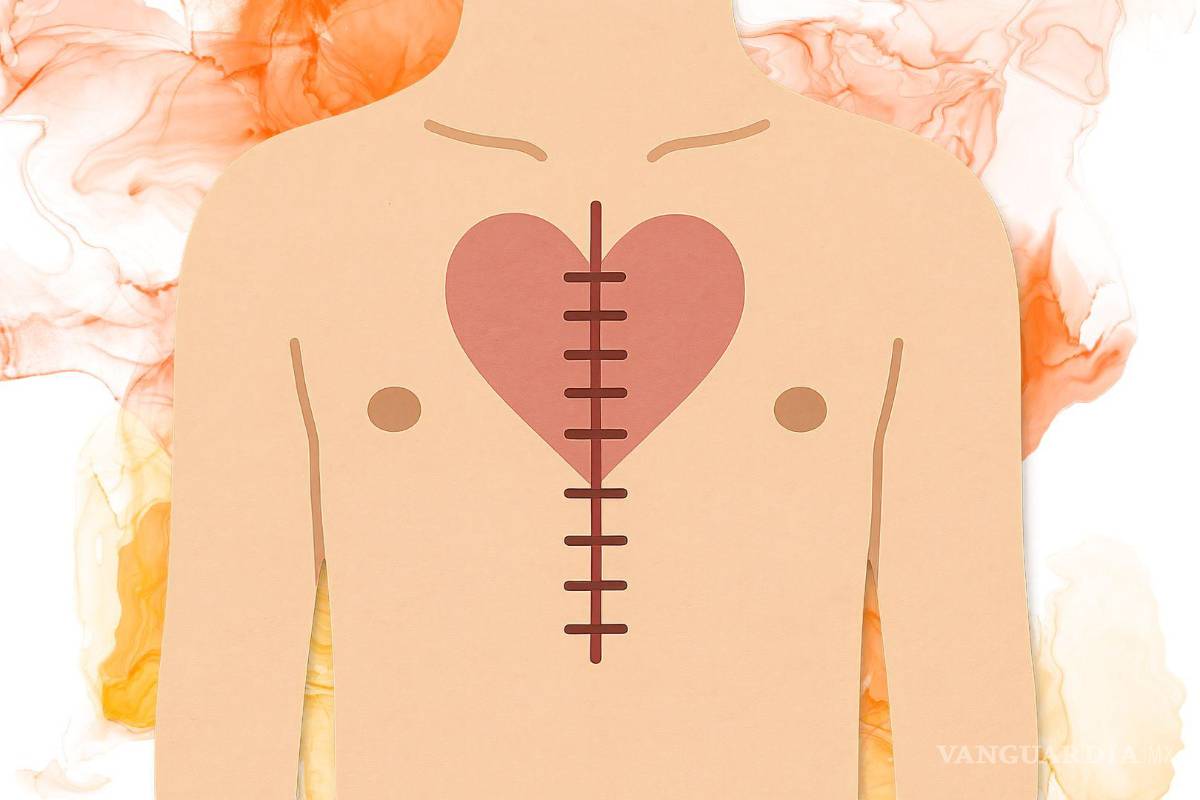 La cicatrices, el miedo, la aceptación y el amor. ¿Cómo es una cicatriz que se ha sanado por amor?