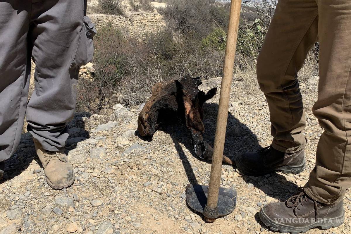 Detienen a presunto responsable de incendios provocados en Zapalinamé