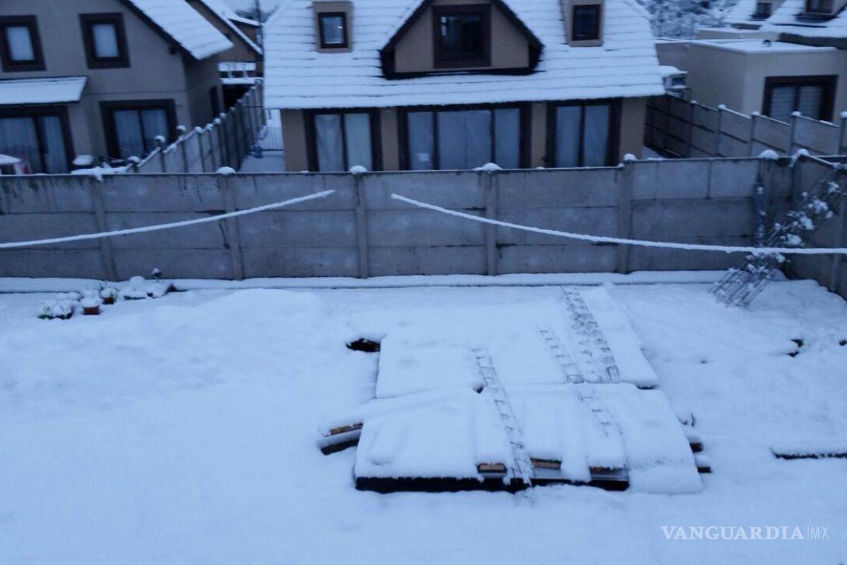 prueba post redes sociales