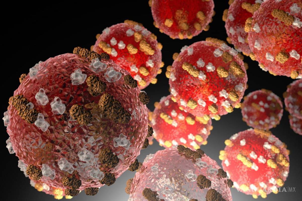 $!Sarampión: Cuánto tarda en manifestarse la enfermedad tras el contagio