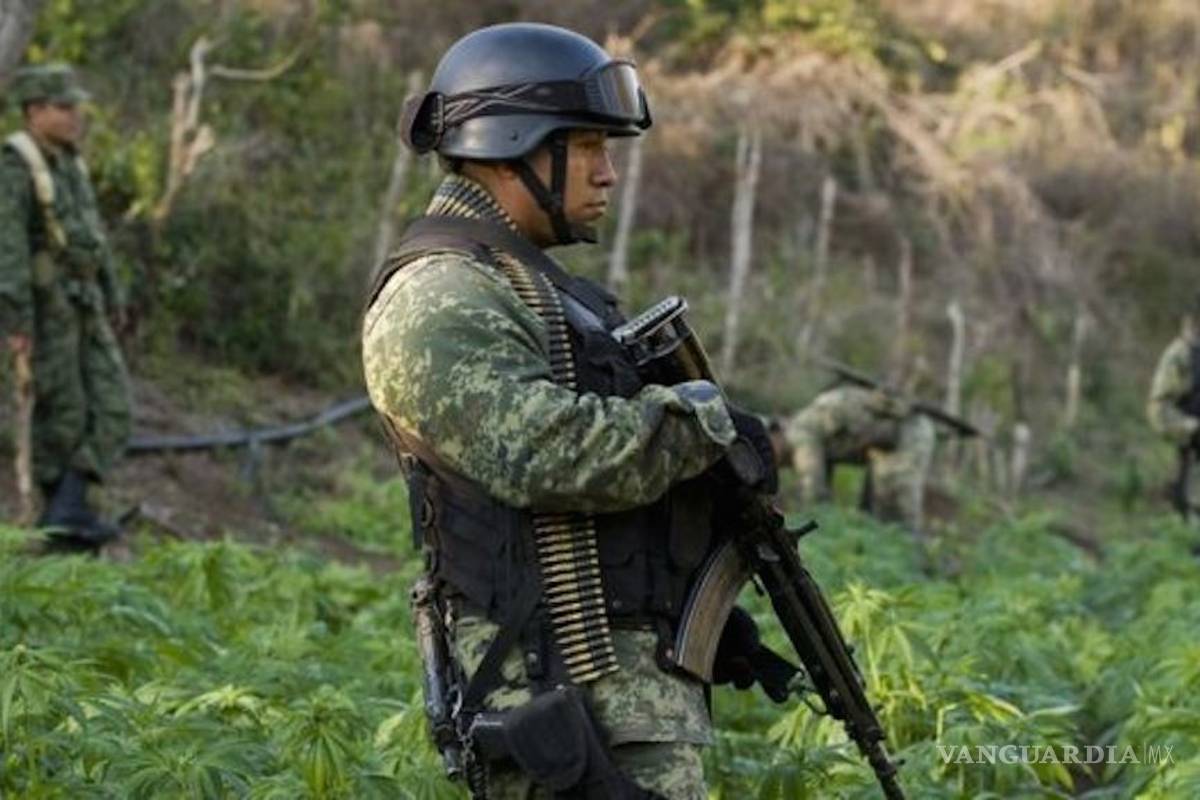 AMLO recibe un país con 15 cárteles en plena expansión, con policías y alcaldes ligados a ellos