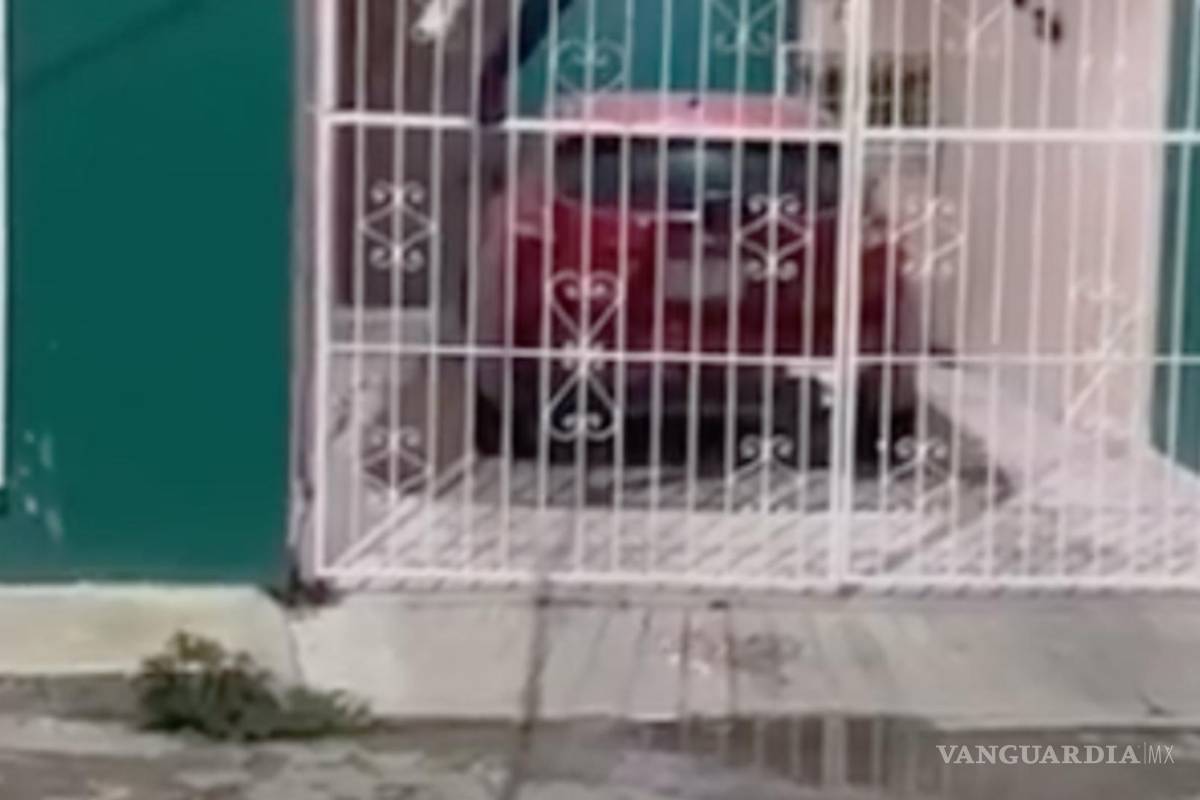 Tras hacerse viral, ladrón ensartado en reja de Campeche sobrevivió y queda libre