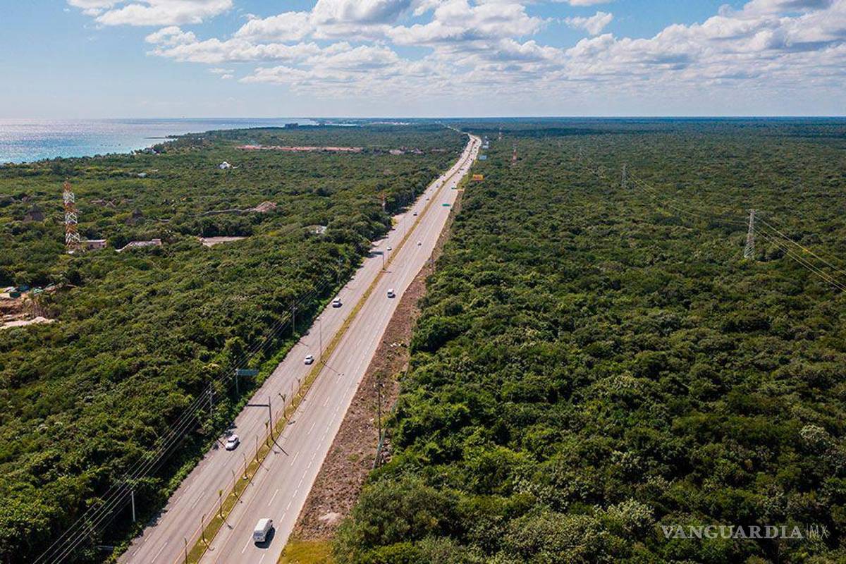 Milagro en la 4T... de vender productos Mary Kay a ganar 30 millones en contratos de construcción