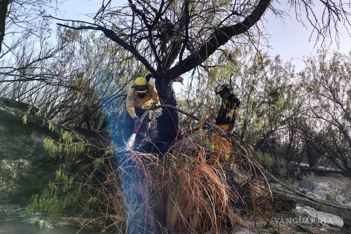 Incendio forestal afecta 150 hectáreas de matorral y pastizal en Nuevo León
