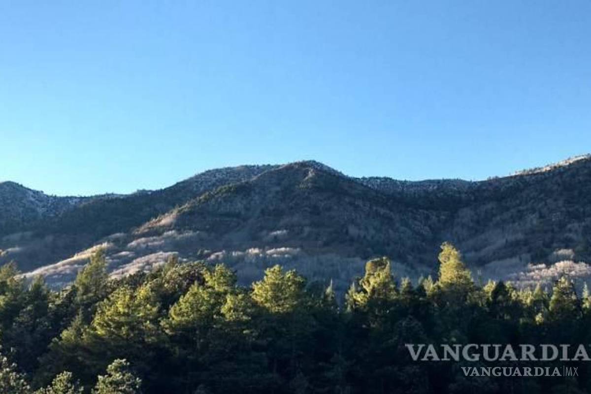 Tras primera nevada en Arteaga, Coahuila, pronostican caída de aguanieve para el próximo viernes