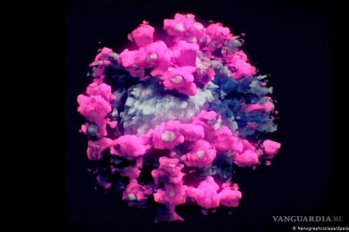Así se ve el coronavirus... logran la primera imagen real en 3D