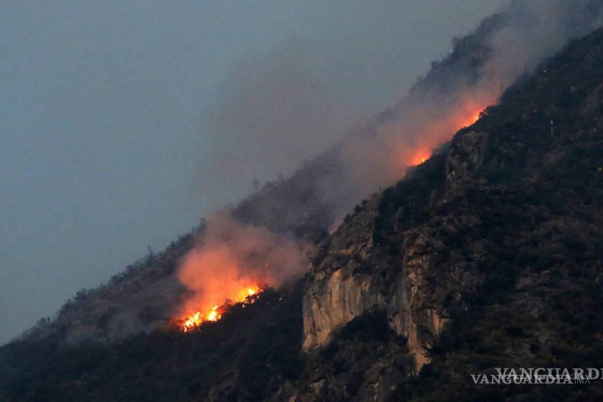 Liquidan incendios de la Región Sureste de Coahuila