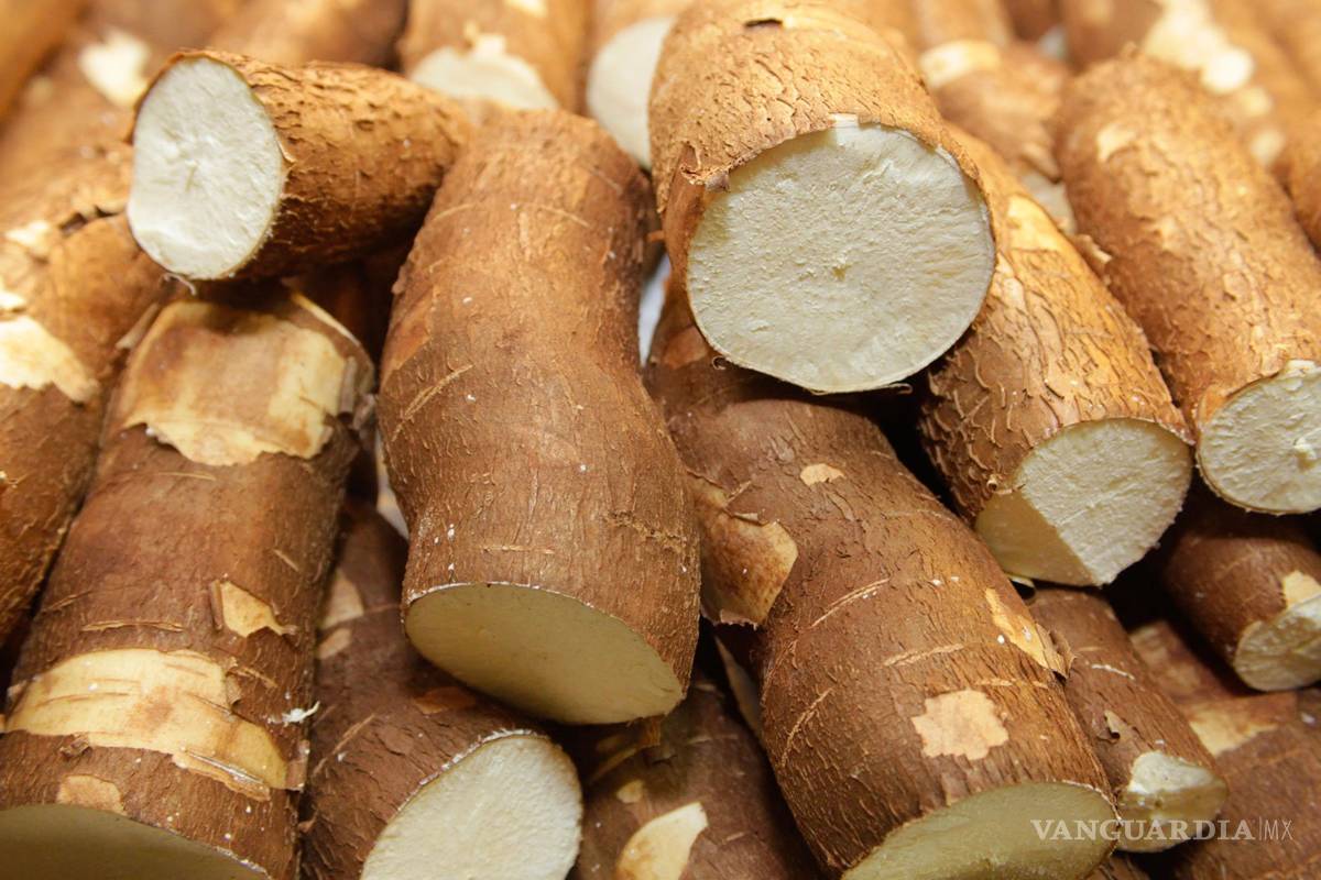 Mueren 6 niños y un adulto en Venezuela por consumir alimentos desechados