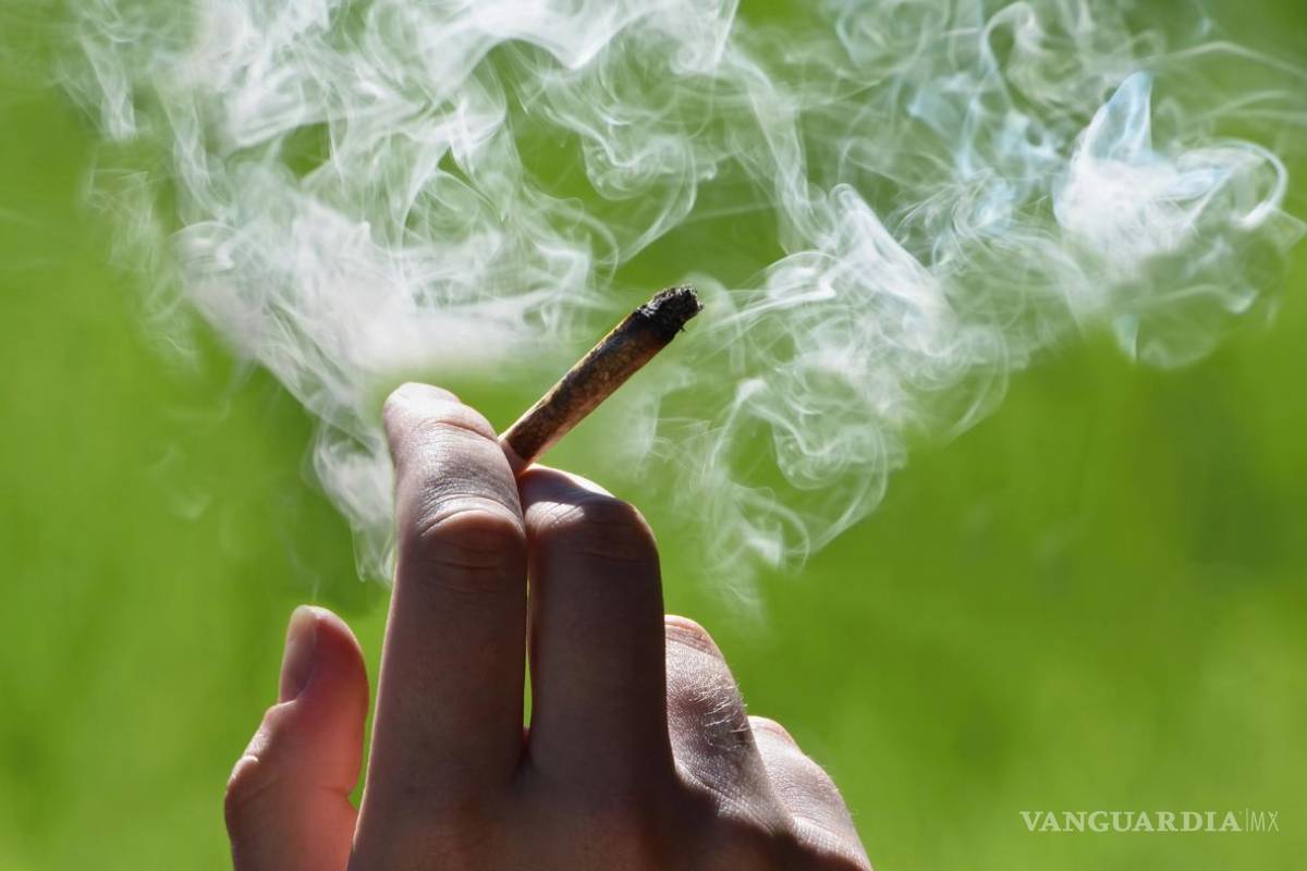 Mariguana es ilegal por daños a la salud, no por violencia: Segob